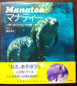 マナティ